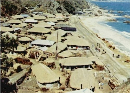 경상북도 울진군 기성면 망양1리, 지붕 개량 전(새마을 화보, 1973)