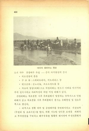 1984년 복지마을성공사례 내무부