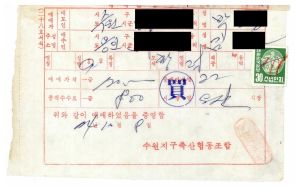 1974년 새마을소득금고 남사면통삼1리동막 지출결의서(육성우구입)