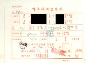 1977-1978년 가축매매증명서  영수증